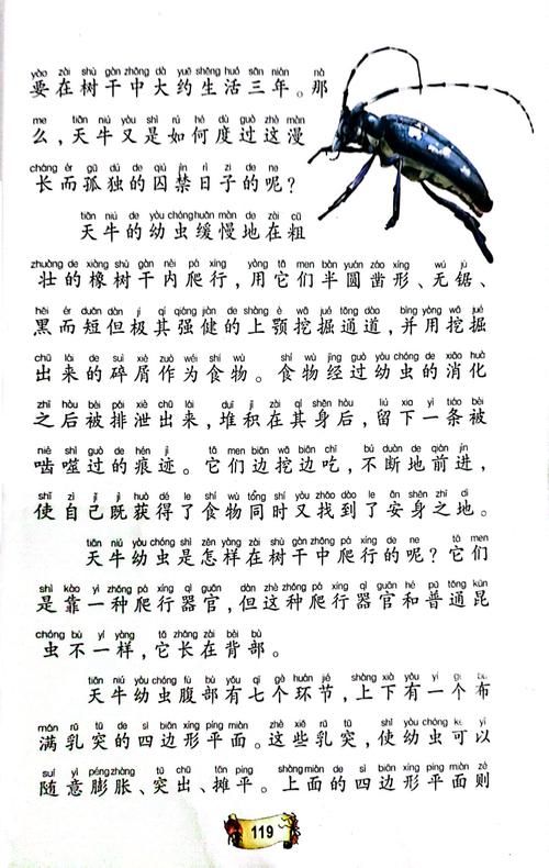 少妇白洁在线全文阅读：经典情感小说完整版无删减