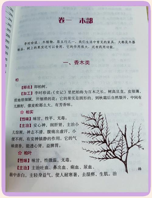 镇魂Priest在线阅读 | 经典玄幻小说全文免费