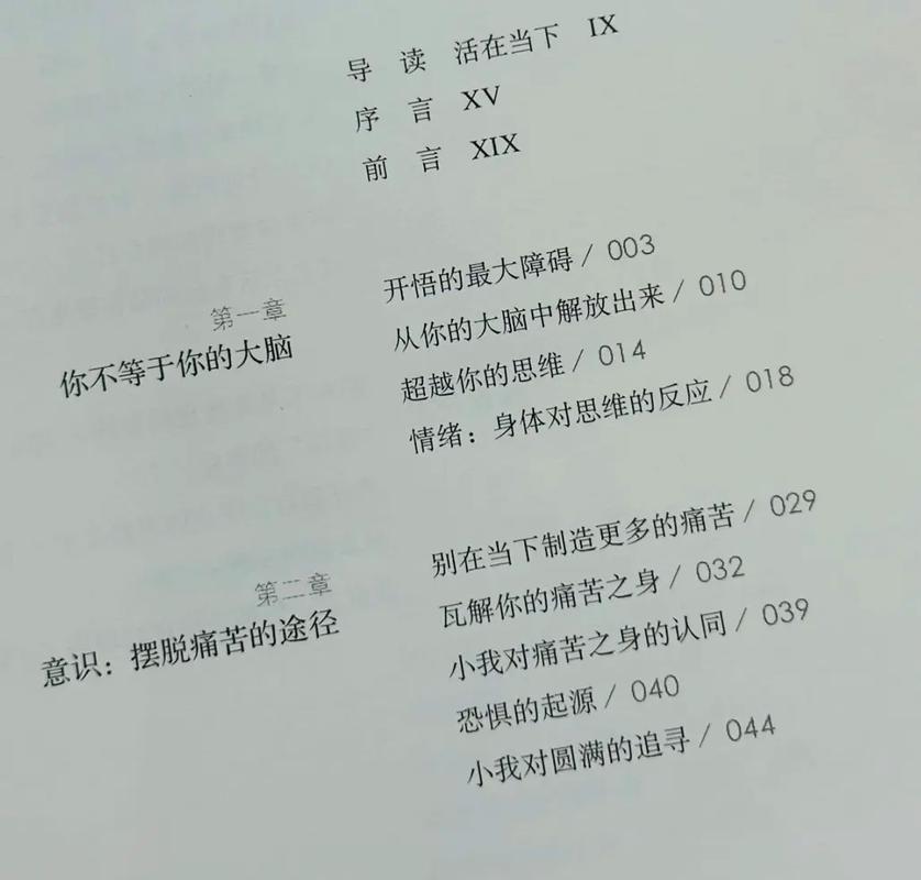 掌中之物小说全文在线阅读 | 傅慎行何妍经典虐恋