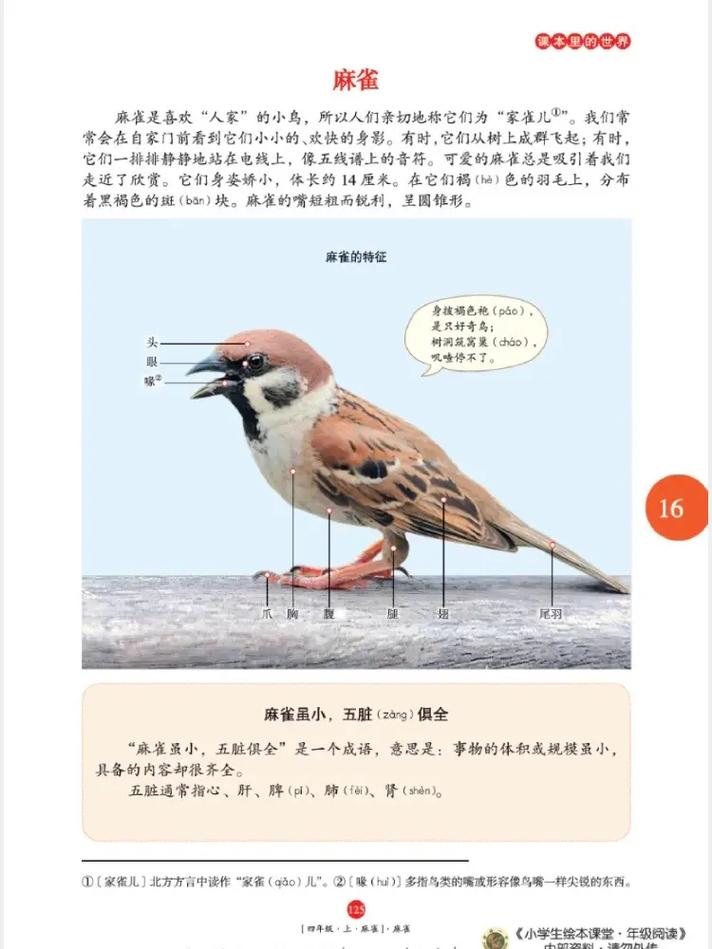 小白兔与大灰狼梵露在线阅读 | 经典童话故事全文