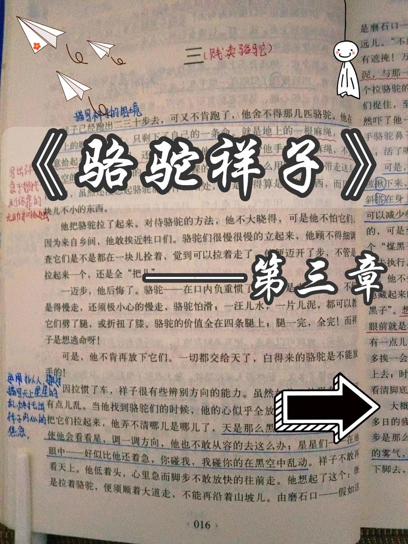 公车上被强入小说全文阅读 - 热门章节在线免费看