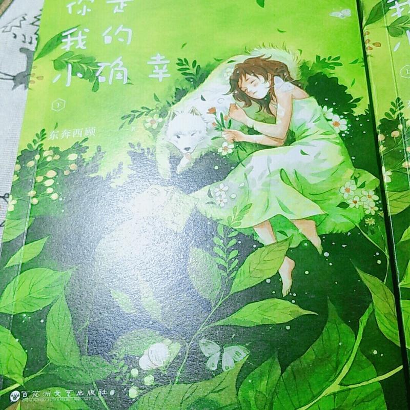 烟花易冷全文在线阅读 - 周杰伦经典歌曲改编小说