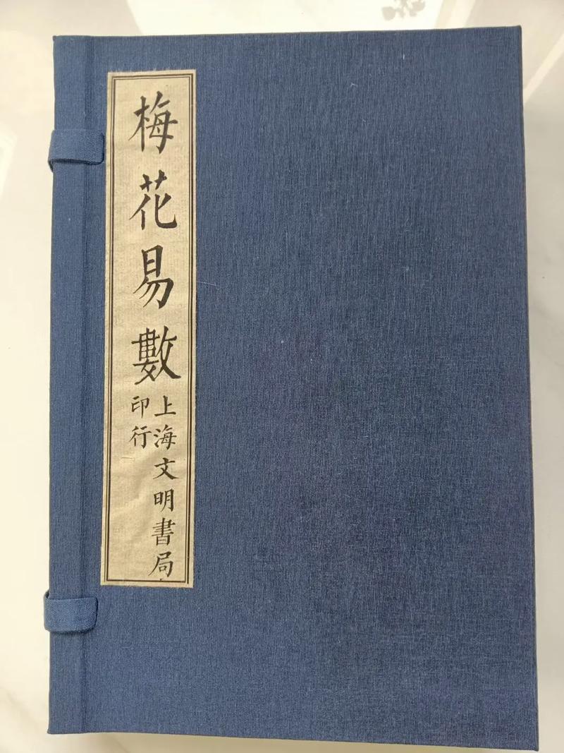 夏洛的网在线阅读全文 | 经典儿童文学友谊与生命篇章