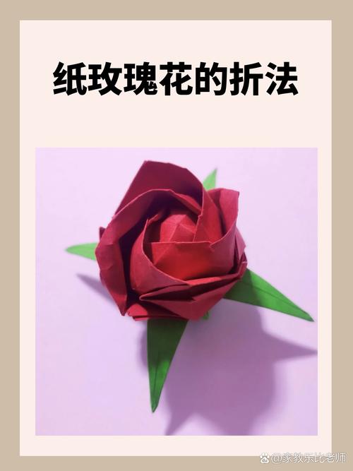 纸玫瑰全文免费在线阅读 | 最新章节无弹窗
