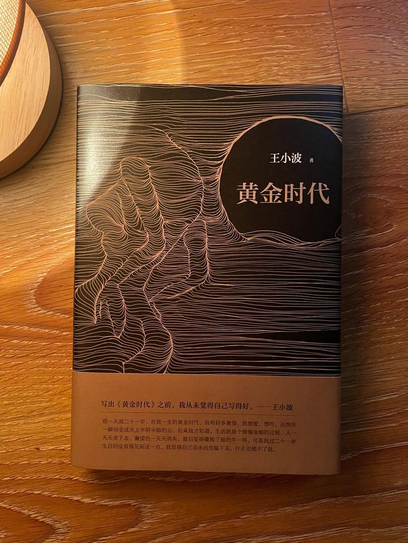 黄金时代在线免费阅读 | 王小波经典小说全文