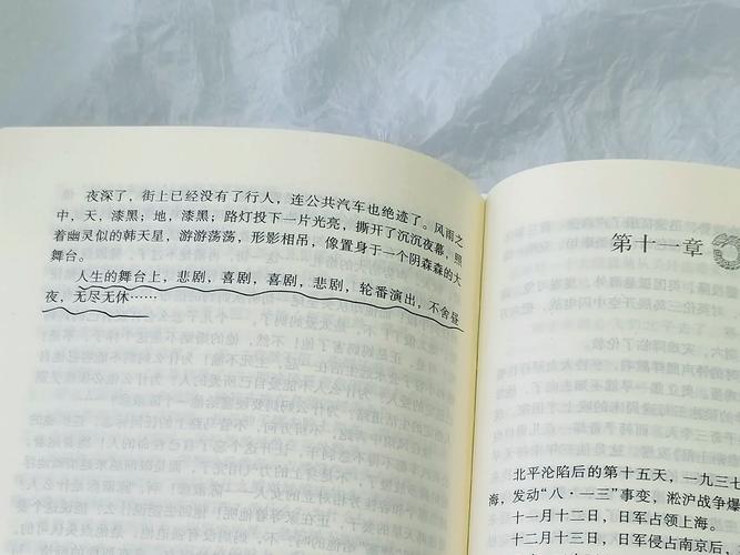 穆斯林的葬礼在线阅读 | 完整版无删减