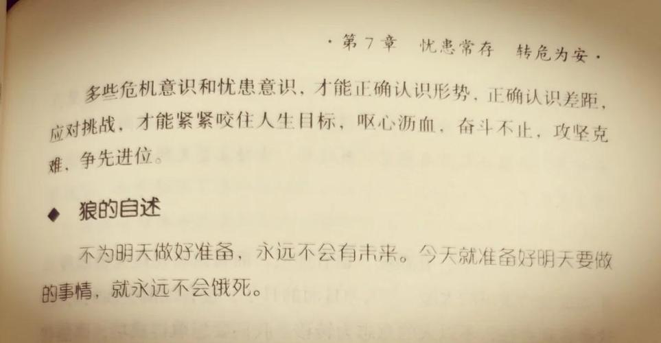 狼道全文免费在线阅读 | 狼性法则与团队管理智慧