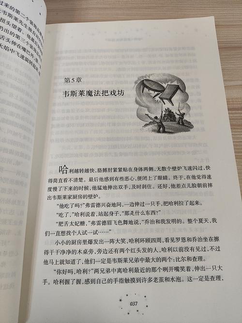 一号红人免费阅读在线：热门爽文无广告畅读