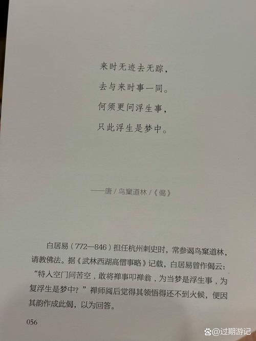 陈若雪小说全文在线阅读 | 热门言情作品免费阅读