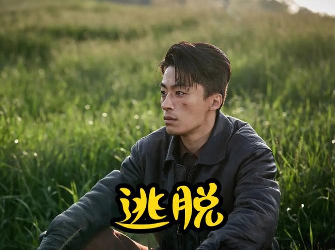 逃脱全文免费在线阅读 | 小说在线观看