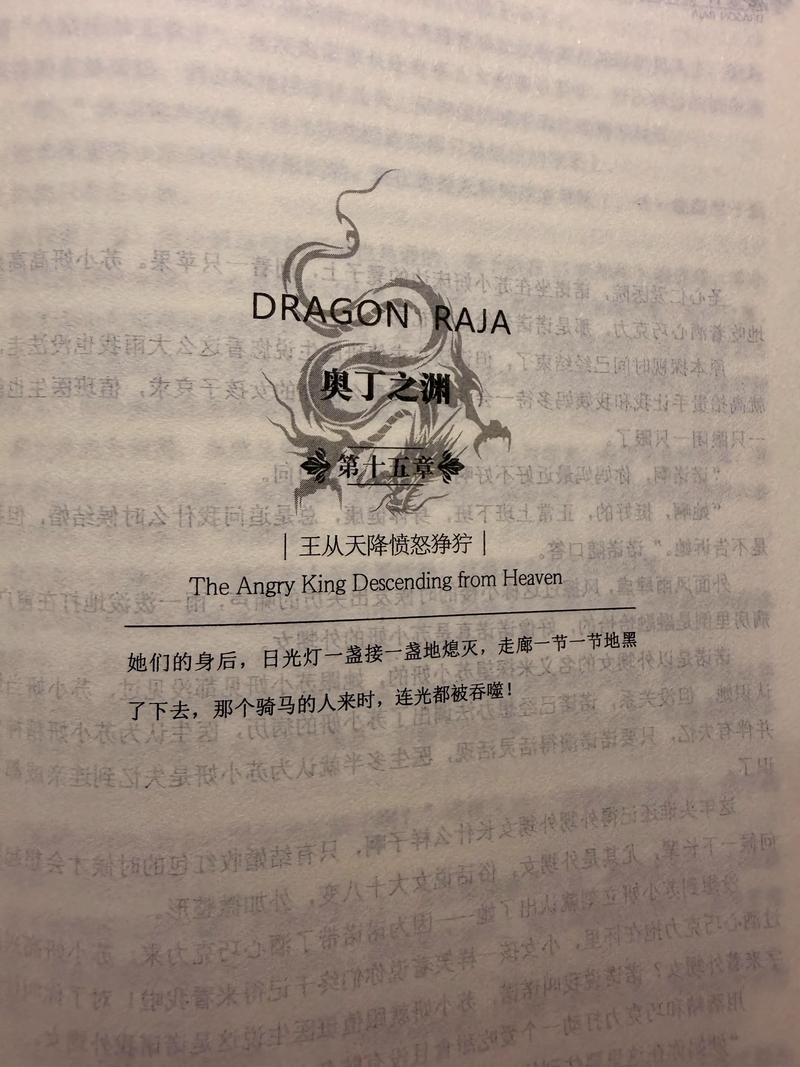 伦理小说在线阅读 - 精选伦理小说大全免费看