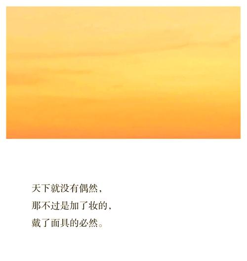 媚公卿在线全文免费阅读-古风权谋言情小说无删减版