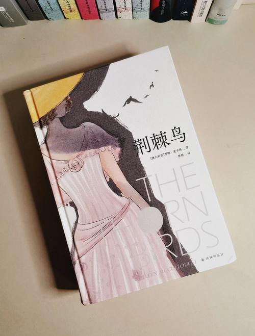 冷门书屋 - 天天冷门小说在线阅读，挖掘小众佳作