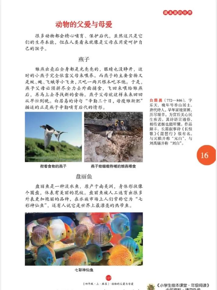 嫩芽(1v1)南安全文在线阅读 | 甜宠小说推荐