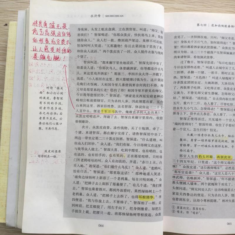 山楂树之恋全文在线阅读 | 纯美爱情小说经典