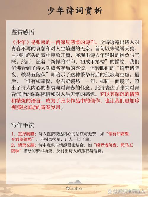 少年在线阅读全文免费阅读最新章节无广告弹窗
