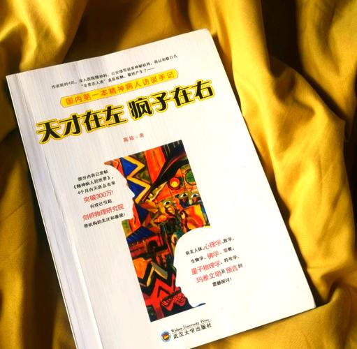 天才在左疯子在右在线阅读：精神病人视角下的世界真相