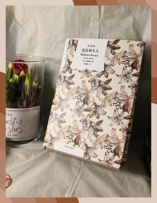 包法利夫人全文免费在线阅读 | 经典世界名著小说