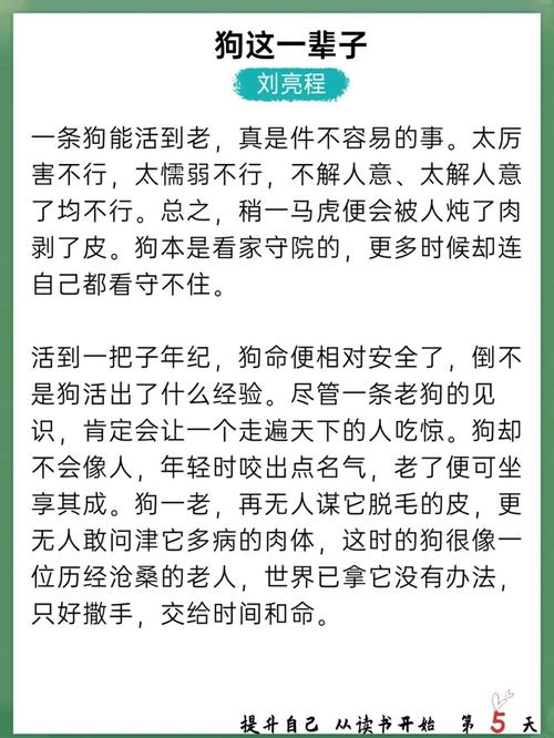 人狗合集全文在线阅读 - 感人至深的人犬情缘故事