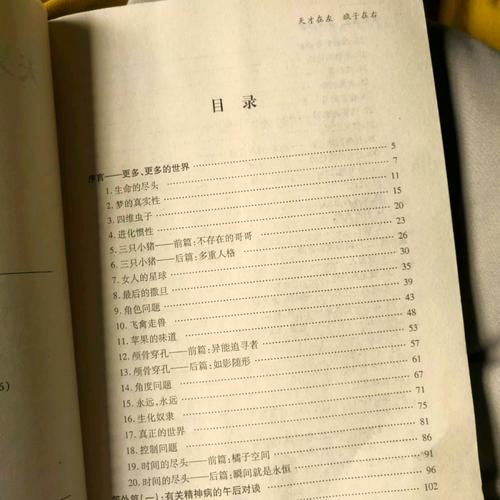 天才在左疯子在右在线阅读：精神病人视角下的世界真相