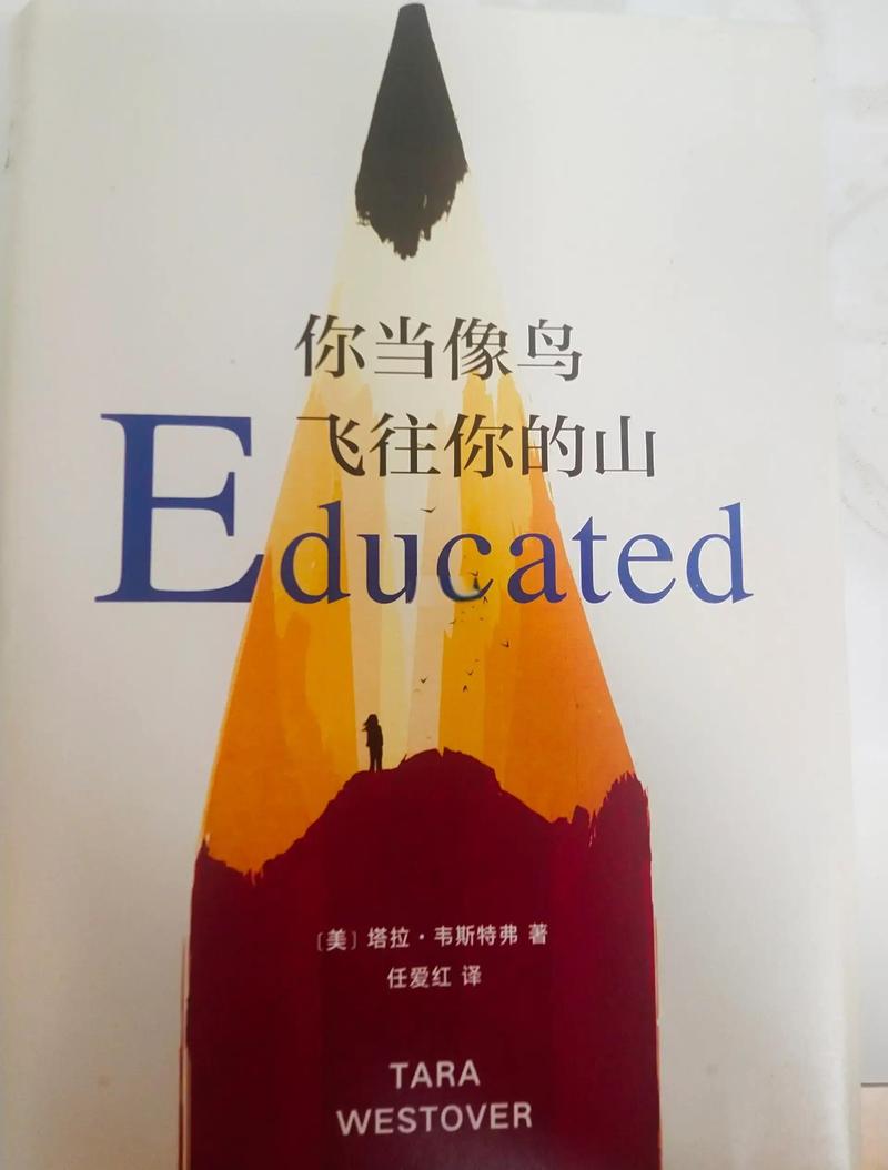 你当像鸟飞往你的山在线阅读:逃离原生家庭,寻找自我救赎
