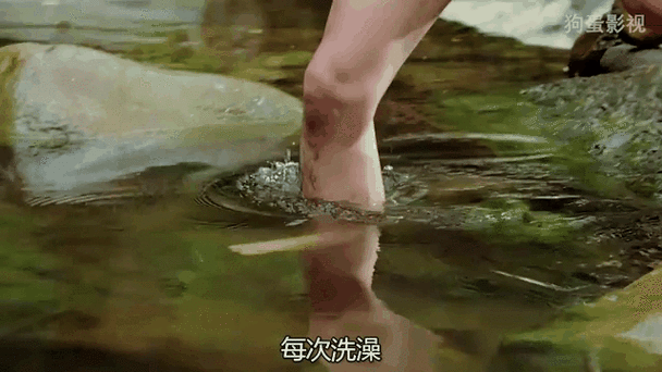 家轮乱小说全文在线阅读 | 热门章节无弹窗
