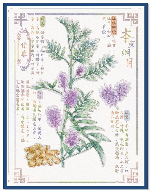 乡村乱情19-22部全集在线阅读，乡村情仇爱恨纠葛