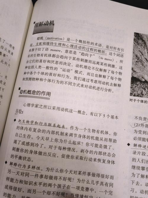 神级龙卫免费全本小说在线阅读 - 巅峰强者龙卫传奇