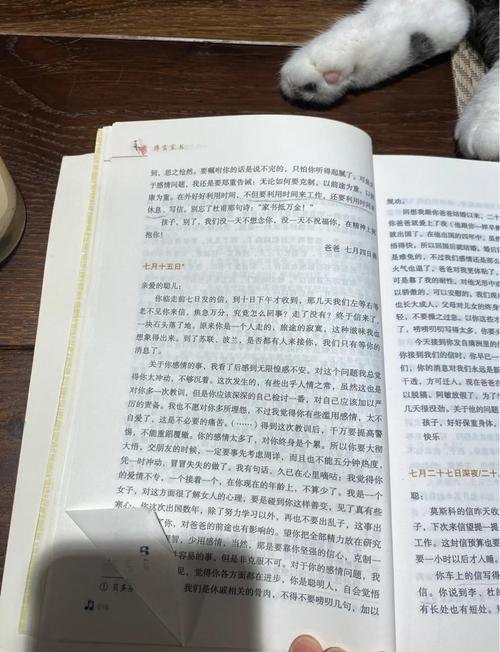 为何家会伤人 在线阅读 - 解析家庭伤痛根源与疗愈方法